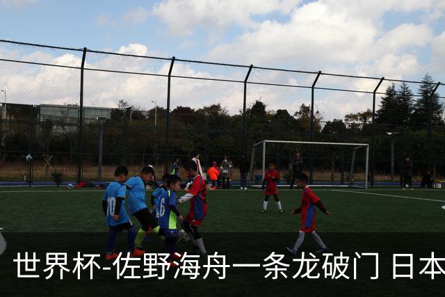世界杯-佐野海舟一条龙破门 日本半场暂1-0领先巴西