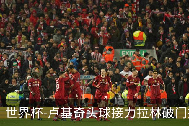 世界杯-卢基奇头球接力拉林破门扳平 加拿大1-1波黑