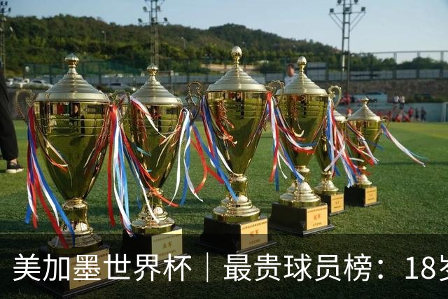 美加墨世界杯｜最贵球员榜：18岁亚马尔身价超4亿美金